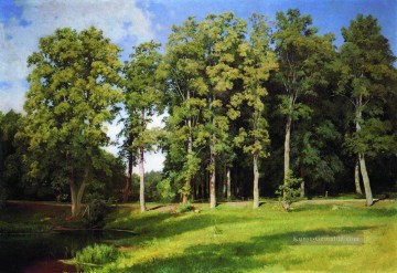 Ivan Ivanovich Shishkin Werke - Hain am Teich preobrazhenskoye 1896 klassische Landschaft Ivan Ivanovich